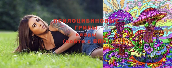 дурь Козельск