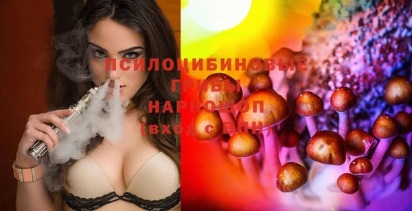 героин Алексин