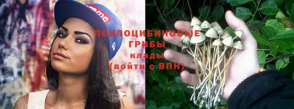 героин Алексин